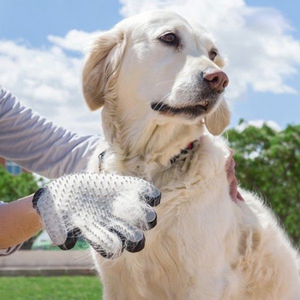 SET 2 Perii tip manusa pentru animale de companie
